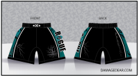 Rogue Warriors Teal Fight Shorts